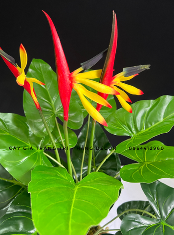 CÂY HOA THIÊN ĐIỂU GIẢ 60CM-70CM