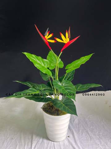 CÂY HOA THIÊN ĐIỂU GIẢ 60CM-70CM