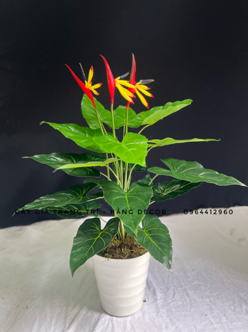CÂY HOA THIÊN ĐIỂU GIẢ 60CM-70CM