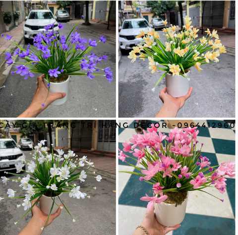 CHẬU HOA TÓC TIÊN GIẢ ĐẶT BÀN 30CM