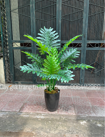 CÂY TRẦU BÀ THANH XUÂN GIẢ HẰNG DECOR 1M1