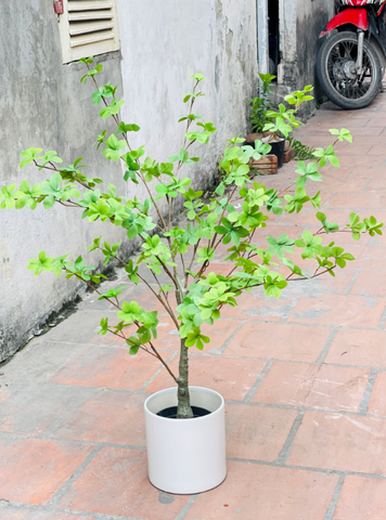 CÂY THẠCH NAM GIẢ  hằng decor (90cm)