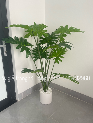 CÂY TRẦU BÀ THANH XUÂN GIẢ HẰNG DECOR 1M3