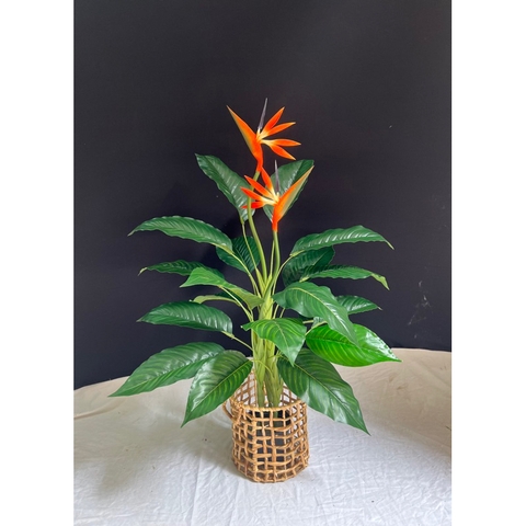 CÂY HOA THIÊN ĐIỂU 1M HẰNG DECOR