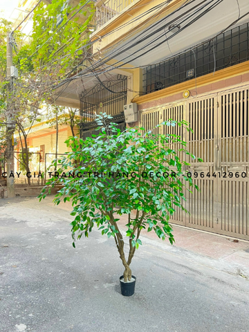 CÂY XI XANH GIẢ TRANG TRÍ NHÀ CỬA 2M