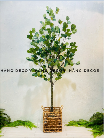 CÂY BẠCH ĐÀN GIẢ TRANG TRÍ NỘI THẤT HẰNG DECOR( 165CM)