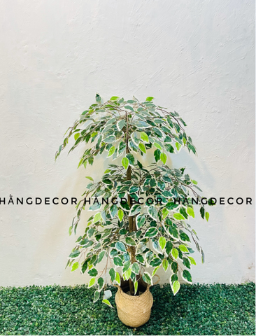 CÂY XI XANH GIẢ TRANG TRÍ HẰNG DECOR 1M3