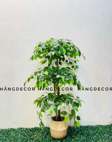 CÂY XI XANH GIẢ TRANG TRÍ HẰNG DECOR 1M3