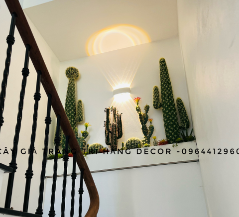 SÉT TIỂU CẢNH XƯƠNG RỒNG 30X2M