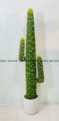 XƯƠNG RỒNG TRỤ GIẢ TRANG TRÍ (1M1, 1M4)
