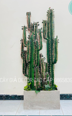 CÂY XƯƠNG RỒNG MÚI XANH GIẢ 4 TAY (1M55)