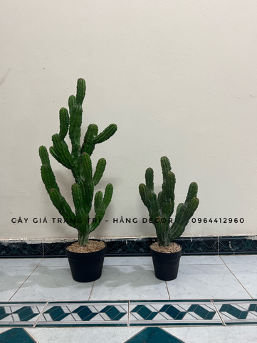 CÂY XƯƠNG RỒNG NHIỀU NHÁNH GIẢ (55CM, 85CM)