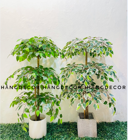 CÂY XI XANH GIẢ TRANG TRÍ HẰNG DECOR 1M3