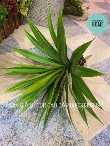 CÂY DỨA GAI GIẢ TRANG TRÍ 60CM
