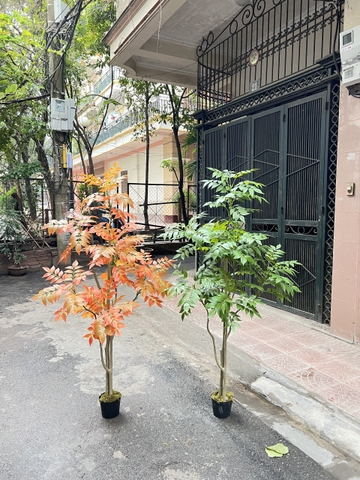 CÂY GỖ SƠN MÀI GIẢ TRANG TRÍ HẰNG DECOR 1M6
