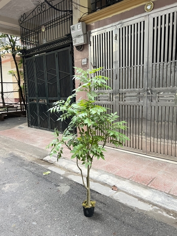 CÂY GỖ SƠN MÀI GIẢ TRANG TRÍ HẰNG DECOR 1M6