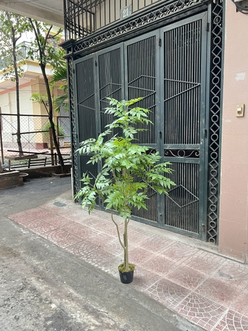 CÂY GỖ SƠN MÀI GIẢ TRANG TRÍ HẰNG DECOR 1M6