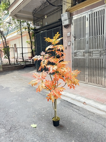 CÂY GỖ SƠN MÀI GIẢ TRANG TRÍ HẰNG DECOR 1M6