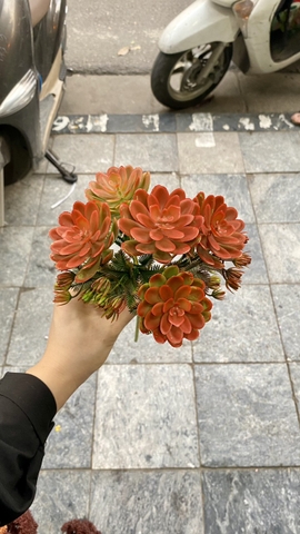 Cành hoa đá 5 bông (40cm)