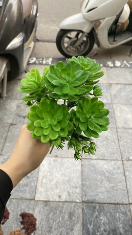 Cành hoa đá 5 bông (40cm)