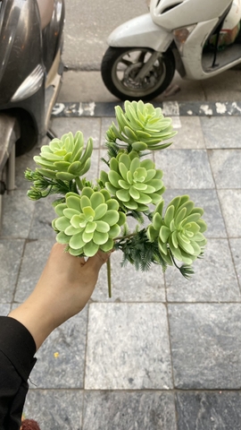 Cành hoa đá 5 bông (40cm)