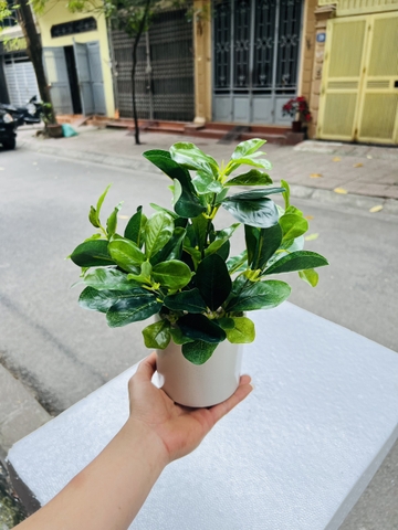 CHẬU CÂY GIẢ ĐẶT BÀN , TỦ, KỆ 30CM