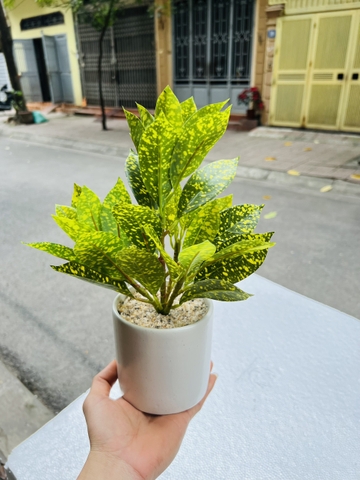 CHẬU CÂY GIẢ ĐẶT BÀN , TỦ, KỆ 30CM
