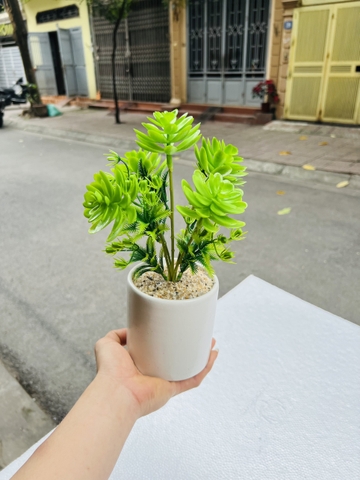 CHẬU CÂY GIẢ ĐẶT BÀN , TỦ, KỆ 30CM