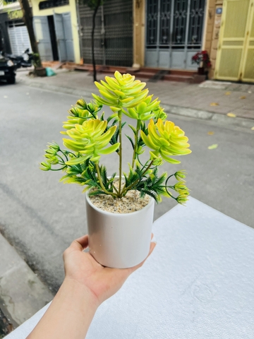 CHẬU CÂY GIẢ ĐẶT BÀN , TỦ, KỆ 30CM