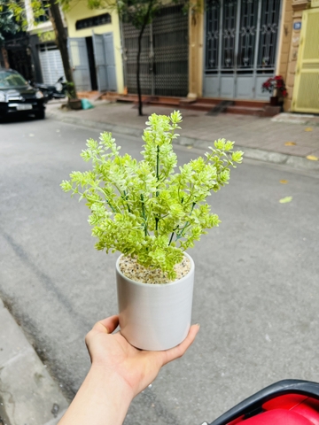 CHẬU CÂY GIẢ ĐẶT BÀN , TỦ, KỆ 30CM