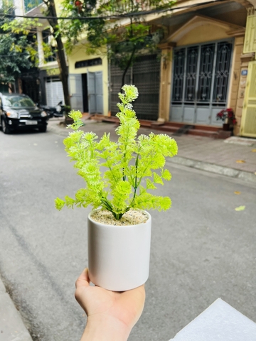 CHẬU DONG XANG GIẢ ĐẶT BÀN 30cm