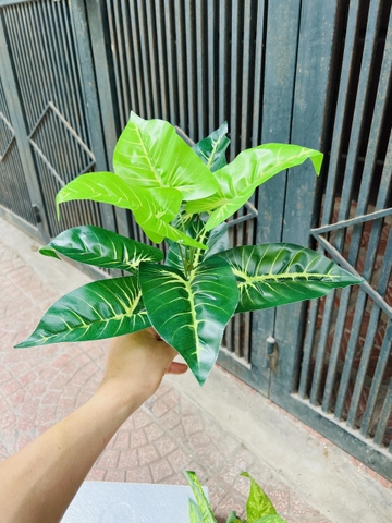 CÂY GIẢ 9 LÁ 30CM