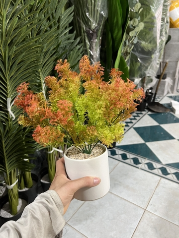 CHẬU DONG XANG GIẢ ĐẶT BÀN 30cm