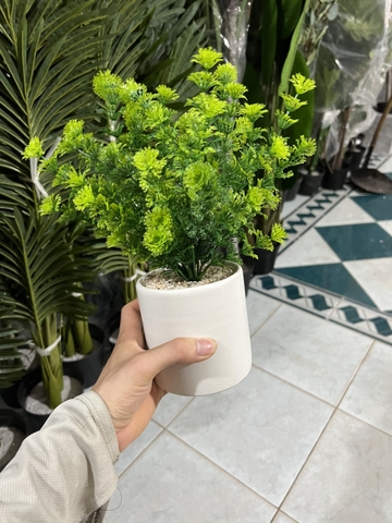 CHẬU DONG XANG GIẢ ĐẶT BÀN 30cm