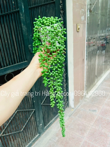 Chậu lộc vừng rủ giả 70cm