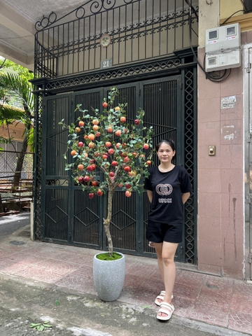 CÂY TÁO GIẢ TRANG TRÍ 1M9