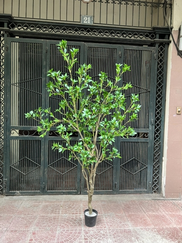 CÂY LINH SƠN THÂN NHỰA  HẰNG DECOR (2M3)