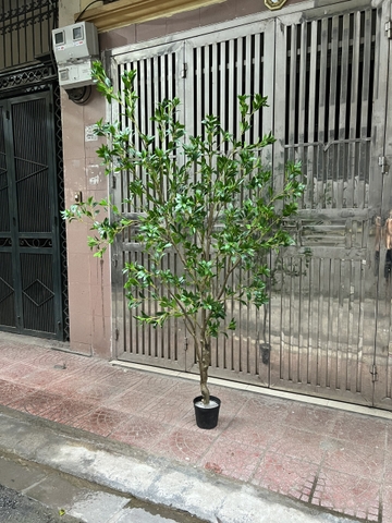 CÂY LINH SƠN THÂN NHỰA  HẰNG DECOR (2M3)