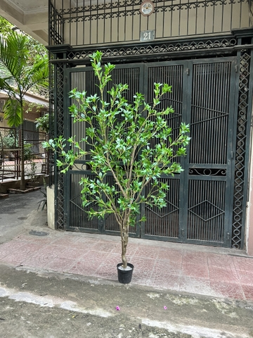 CÂY LINH SƠN THÂN NHỰA  HẰNG DECOR (2M3)
