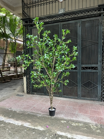CÂY LINH SƠN THÂN NHỰA  HẰNG DECOR (2M3)