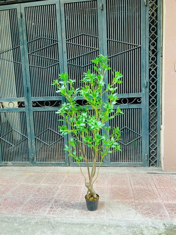 CÂY LINH SƠN GIẢ 1M6