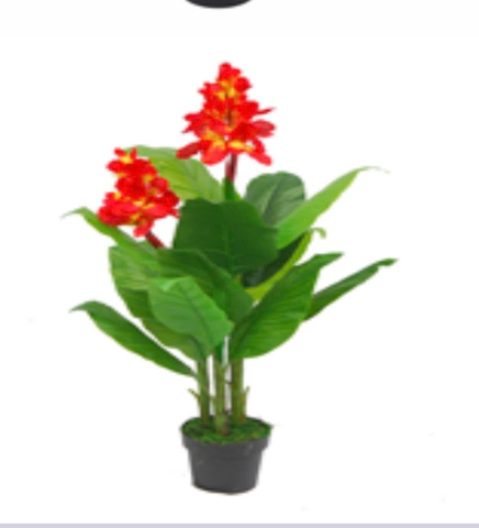 CÂY HOA DONG ĐỎ TRANG TRÍ HẰNG DECOR 1M2