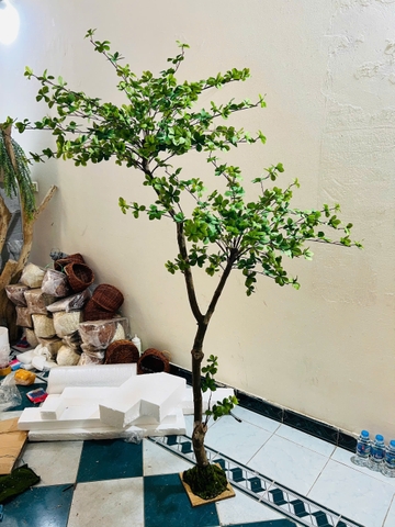 CÂY THẠCH NAM THÂN GỖ GIẢ 1M5