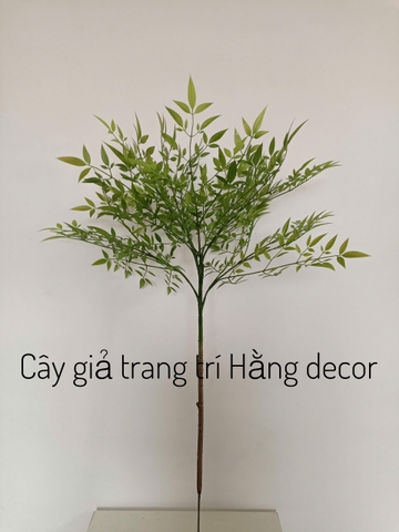 Cành nam thiên trúc giả 90cm