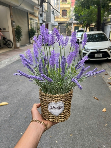 GIỏ hoa lavender tím giả 30cm