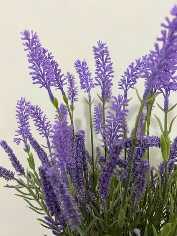 GIỏ hoa lavender tím giả 30cm