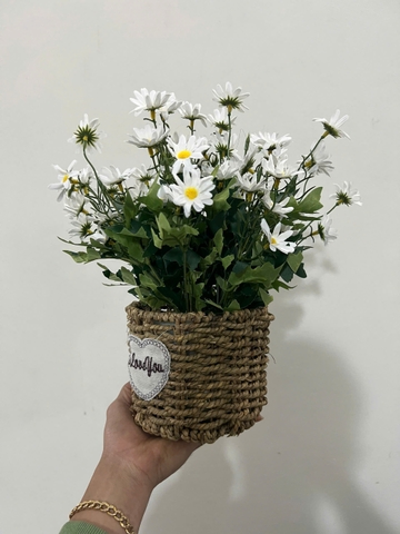 Giỏ hoa cúc họa mi trắng giả trang trí 30cm