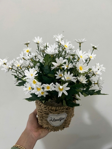Giỏ hoa cúc họa mi trắng giả trang trí 30cm