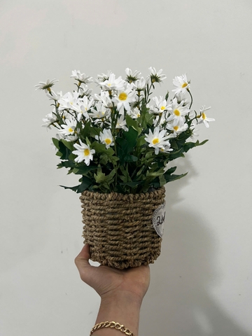 Giỏ hoa cúc họa mi trắng giả trang trí 30cm
