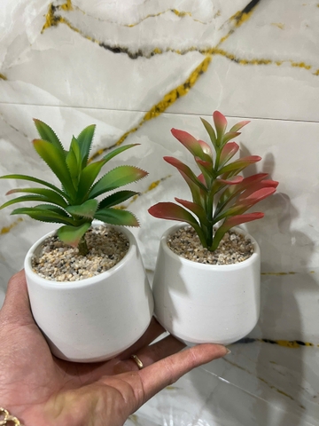 Chậu sen đá lá gai giả 16cm